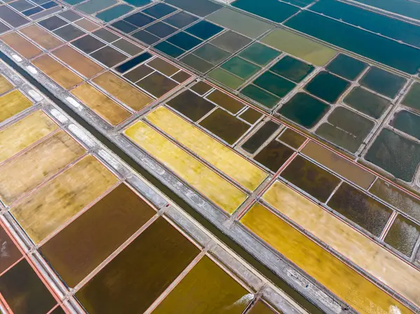 Tuz tarlasının manzarası, tuz tarlasının havadan çekilmiş fotoğrafı.