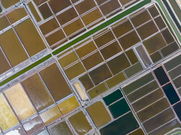 Tuz tarlasının manzarası, tuz tarlasının havadan çekilmiş fotoğrafı.