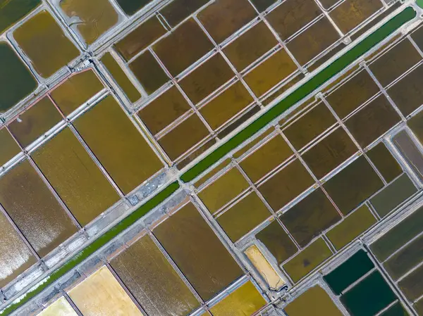 Tuz tarlasının manzarası, tuz tarlasının havadan çekilmiş fotoğrafı.