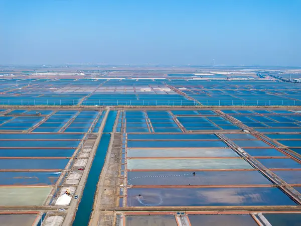 Tuz tarlasında çalışanlar, tuz tarlalarında tuz üretenler.