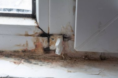 Kalitesiz pencereler. Kötü havalandırma nedeniyle, plastik pencerelerin düşük kalitedeki kurulumu pencere ve duvarlarda siyah mantar oluşumuna neden oldu. Küf sağlığa zararlıdır. Seçici odak