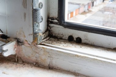 Kalitesiz pencereler. Kötü havalandırma nedeniyle, plastik pencerelerin düşük kalitedeki kurulumu pencere ve duvarlarda siyah mantar oluşumuna neden oldu. Küf sağlığa zararlıdır. Seçici odak