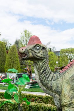 Bir dinozorun yeniden yapılandırılmış gerçek boyutlardaki animasyon modelleri. Iasi 'deki Palas Halk Bahçesi' ndeki dinozor parkı.