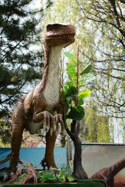 Bir dinozorun yeniden yapılandırılmış gerçek boyutlardaki animasyon modelleri. Iasi 'deki Palas Halk Bahçesi' ndeki dinozor parkı.