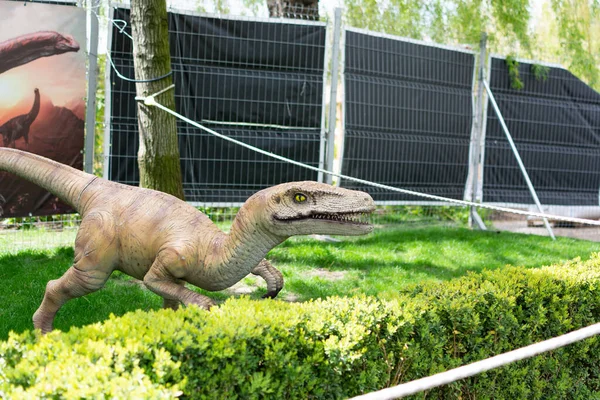 Відновлені Анімаційні Моделі Динозавра Натуральну Величину Парк Динозаврів Паласі Публічного — стокове фото