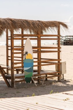 Sörf tahtası, yaz manzarası, güneş ve palmiye ağaçları ile resmedilmiş. Romanya 'nın Köstence kentinde bir sahil tepe örtüsünün altında sörf tahtası.