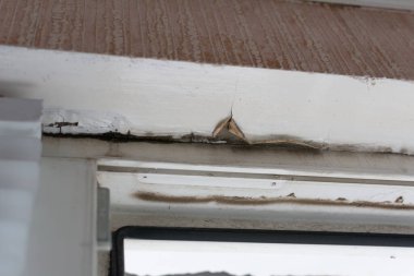 Pencere çerçevesi ile tavan arasında yağmur damlıyor. Kötü onarımdan dolayı çatı hasarı.