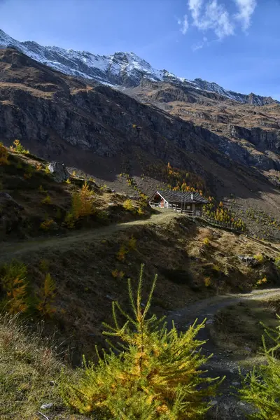 Aosta yakınlarındaki Clavalit Vadisi sonbahar renkleriyle göz kamaştırıcı..