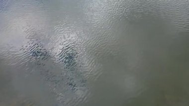 Bose Gölü, Biella bölgesinde Oropa 'ya bakan dağlarda küçük bir su kütlesi.