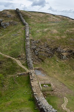 Hadrian 'ın Duvarındaki Sycamore Gap ağaç kesiminin sonuçlarını gösteriyor, Northumberland, İngiltere
