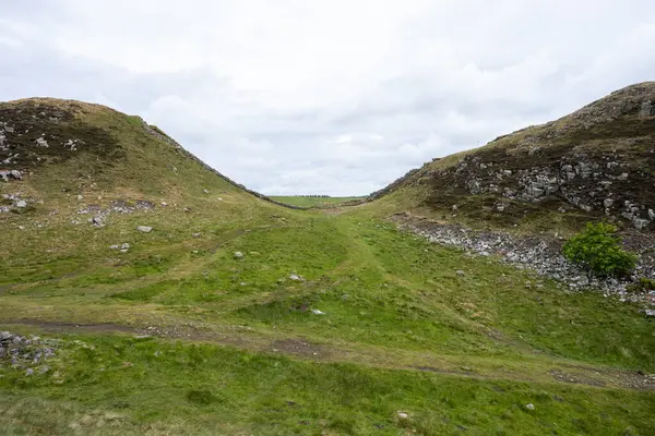 Hadrian 'ın Duvarındaki Sycamore Gap ağaç kesiminin sonuçlarını gösteriyor, Northumberland, İngiltere