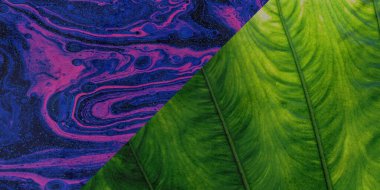 Kabuk ve ağaç gövdesi dokusu arkaplanı