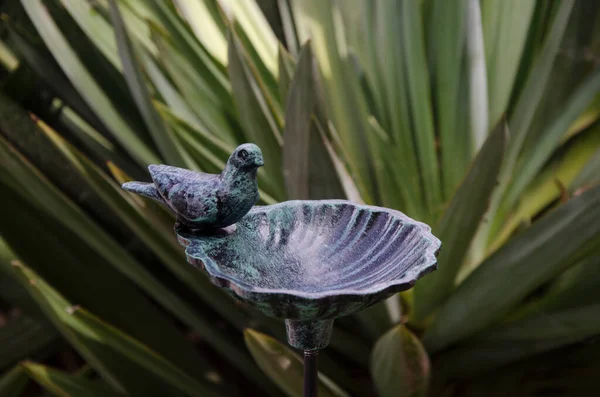Metal Birdbath Trough Put Water Birds Can Drink — Fotografia de Stock