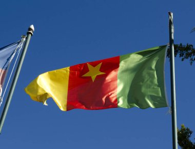 Bandera de Cameron Rojo Amarillo y verde flameando en cielo aul