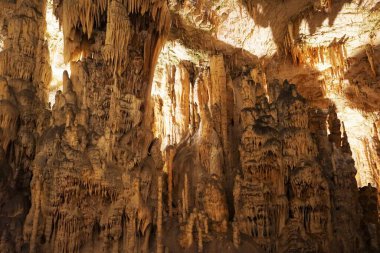 Postojna mağarası (Postojnske jame), bu mağaralar ziyaret etmek için nefes kesici bir yerdir. Karst arazisi kireçtaşından oluşur. Slovenya