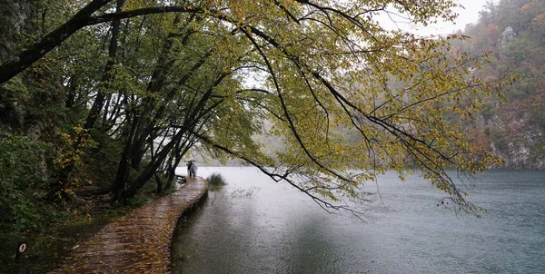 When it rains, visitors walk along the wooden walkway by the lake. View of the Lower Lake. Unforgettable autumn in Plitvice Lake National Park, Croatia.