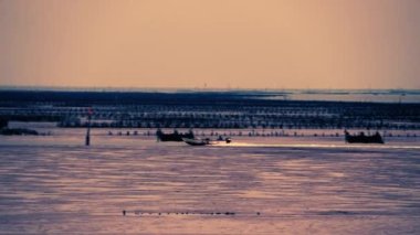 Balıkçılar alacakaranlıkta, kültürlü istiridyeleri teftiş etmek için küçük tekneler kullanıyorlar. Aogu Wetlands Orman Parkı eko-turizm için bir üs. Dongshi Kasabası, Chiayi İlçesi, Tayvan