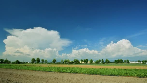 Céu Azul Nuvens Brancas Culturas Verdes Paisagem Campo Rural Terra — Vídeo de Stock