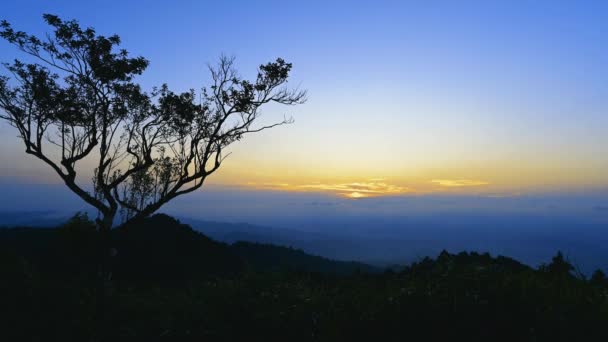 Njut Romantisk Solnedgång Ensamma Träden Toppen Berget Wufen Mountain Ruifang — Stockvideo