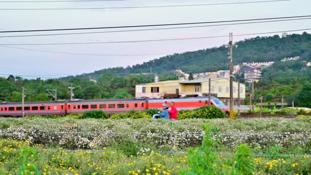 Der Orangefarbene Zug Fährt Durch Die Landschaft Vordergrund Stehen Kleine — Stockvideo