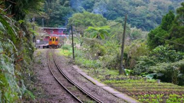 Sarı bir dizel tren dağlarda ve ormanlarda seyahat eder. Gündüz vakti. Sandiaoling Tren İstasyonu, New Taipei Şehri, Tayvan.