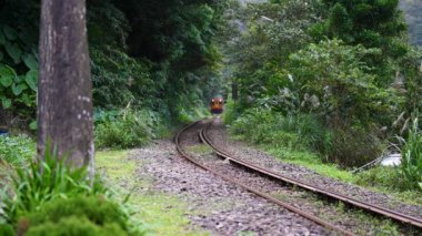 Gündüz vakti, ışıkları yanan sarı bir tren ağaçlar tünelinden geçer. Sandiaoling Tren İstasyonu, New Taipei Şehri, Tayvan.