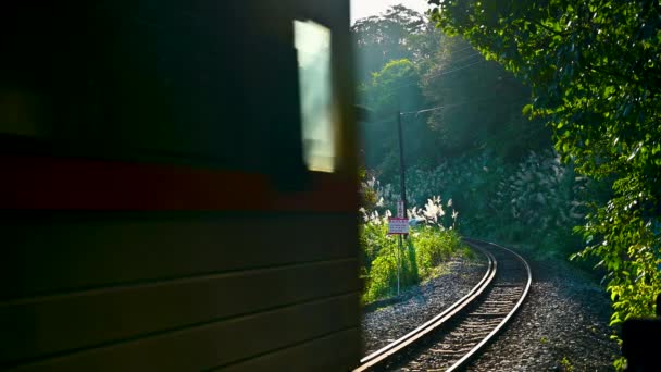 Желтый Дизельный Поезд Путешествует Горам Лесам Днем Sandiaoling Railway Station — стоковое видео
