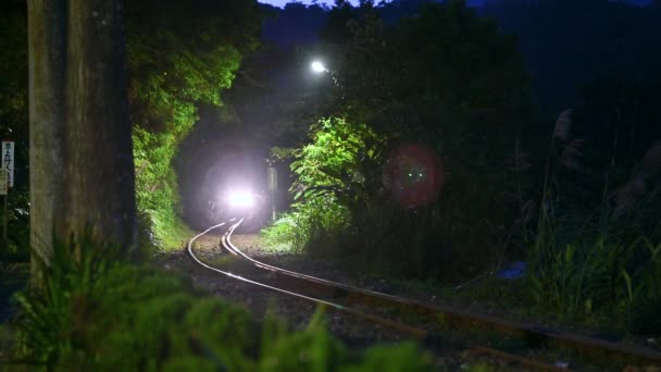 Night Yellow Train Lights Travels Tunnel Trees Sandiaoling Railway Station — Video Stock