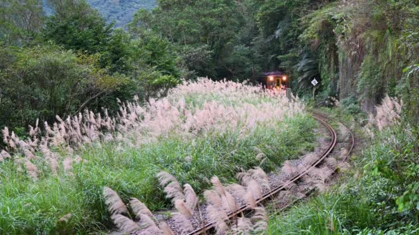 Yellow Train Travels Mountains Reeds Next Railway Tracks Sandiaoling Railway — Video Stock