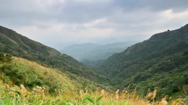 高山上覆盖着绿色的植物 春天的山谷景色 新台北市双溪区Buyan亭 — 图库视频影像
