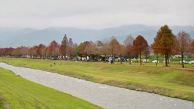 Green grass on both sides of the river. Bald cypress trees with red leaves. Dongshan River Water Park. Sanxing Township, Yilan County, Taiwan