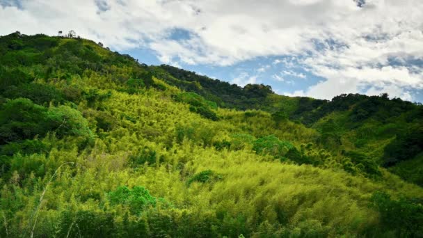Гори Вкриті Зеленими Рослинами Вид Долину Весною Балінг Міст Розташований — стокове відео