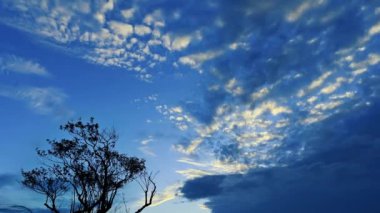 Silhouettes of trees at dusk with white clouds moving across the blue sky. Ruifang Wufen Mountain, New Taipei City, Taiwan