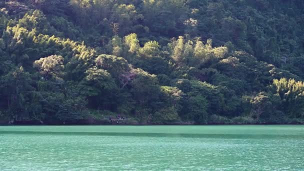Air Danau Pirus Dan Naungan Pohon Merupakan Gambar Damai Air — Stok Video