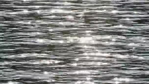 太陽は輝く光で湖の表面に輝きます 青い波紋が湖の上を渦巻いていた 梅華湖 — ストック動画