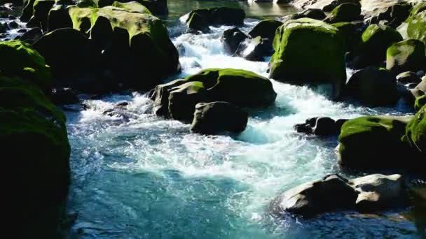 White Turbulent Streams Oddly Shaped Rocks Some Moss Growing Them — Video