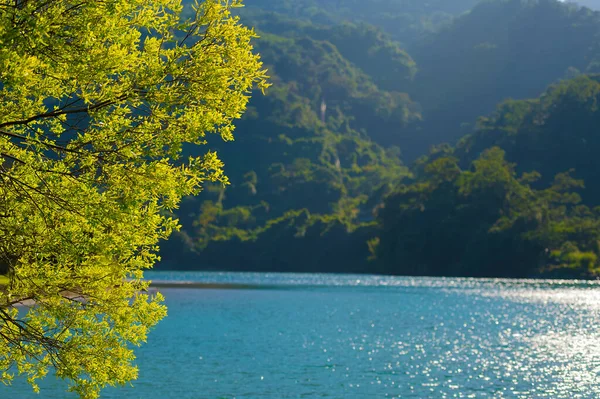 The turquoise lake water and the shade of trees constitute a peaceful picture. The water of the lake is sparkling. Meihua Lake, New Taipei. Taiwan