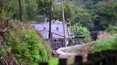 A yellow diesel-powered train passes through the mountains. Dogs by the track. Traditional railway branch line. Pingxi District, New Taipei City, Taiwan.