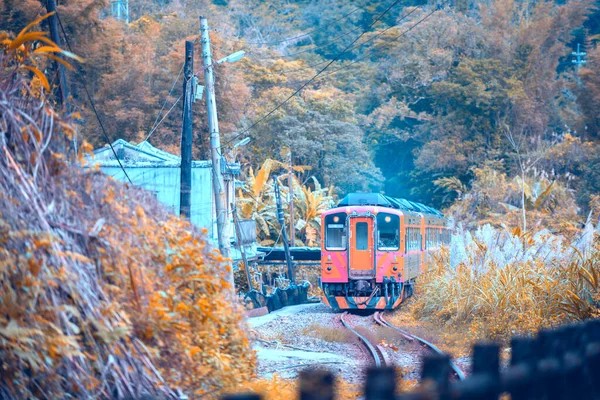 A yellow diesel-powered train passes through the mountains. autumn forest. Traditional railway branch line. Pingxi District, New Taipei City, Taiwan.