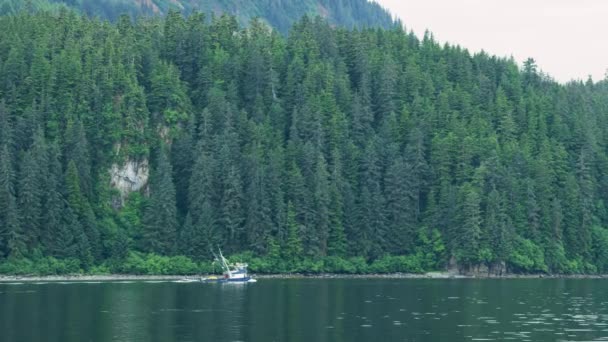 항해하는 낚싯배 수림대의 에버그린 숲입니다 청록색 Various Landscapes Summer Alaska — 비디오