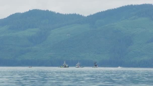 Barcos Pesca Navegando Lago Bosque Perenne Zona Boreal Mar Azul — Vídeo de stock