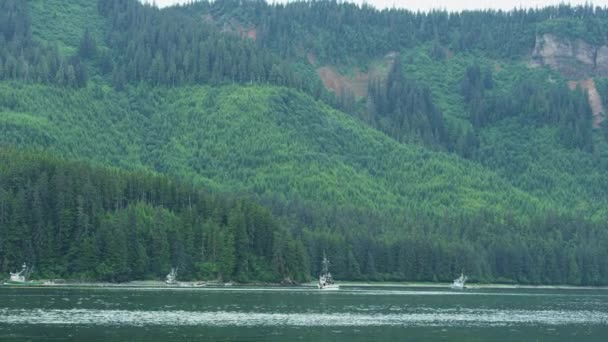Рыбацкие Лодки Плывут Озеру Вечно Зеленый Лес Борейной Зоне Голубое — стоковое видео