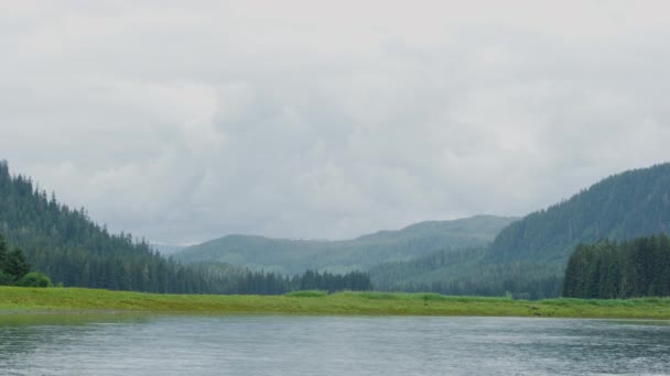 Nehirde Tekneyle Yeşil Çimenleri Ormanları Dağları Bulutları Görebilirsiniz Yazın Çeşitli — Stok video