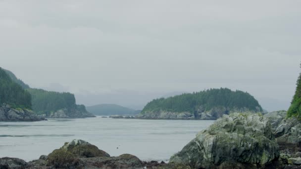 Deniz Adalar Dağlar Ormanlar Deniz Aslanlarının Yaşadığı Dinlendiği Yerler Alaska — Stok video