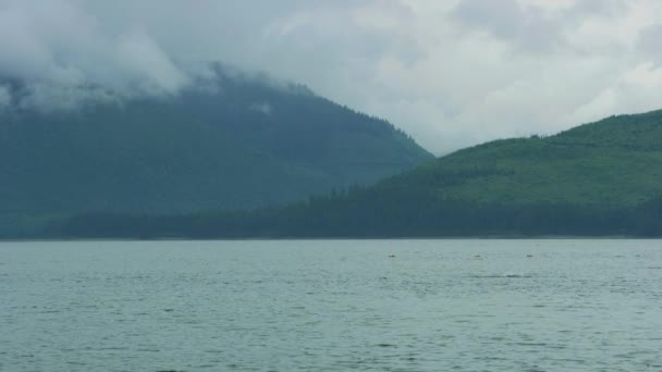 물고기는 마리씩 밖으로 나온다 호수와 땅이지 알래스카 살몬의 2017 — 비디오