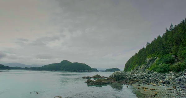 Mare Isole Montagne Foreste Luoghi Dove Vivono Riposano Leoni Marini — Foto Stock