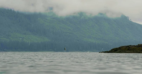 鱼一个接一个跳出了水面 一个湖泊和高山的仙境 美国阿拉斯加鲑鱼的迁徙 2017年 — 图库照片
