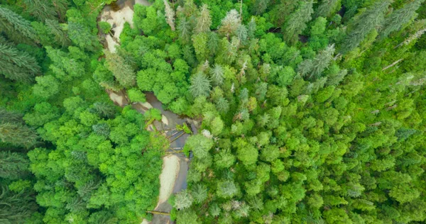 Luftaufnahme Von Grünem Wald Und Bach Defokussierter Weicher Unscharfer Hintergrund — Stockfoto