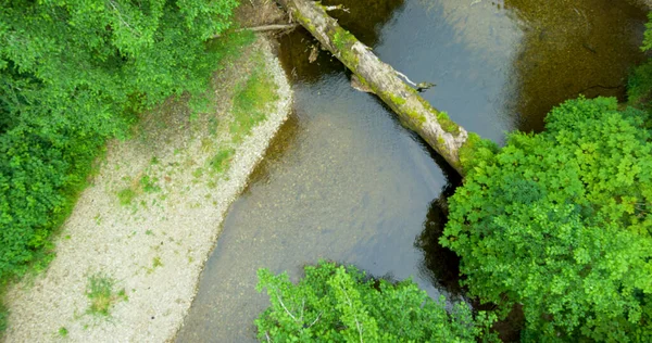 Yeşil Orman Derenin Havadan Çekilmiş Görüntüsü Odaklanamayan Yumuşak Bulanık Arkaplan — Stok fotoğraf