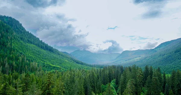 Yeşil Orman Derenin Havadan Çekilmiş Görüntüsü Odaklanamayan Yumuşak Bulanık Arkaplan Telifsiz Stok Imajlar